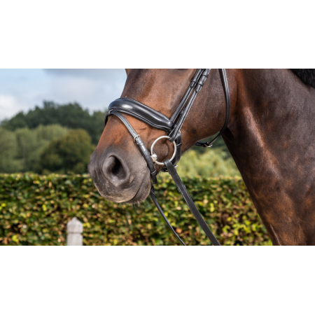 Matte medium Crank neusriem met sperriem