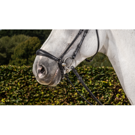 Matte Duitse neusriem met Pull Back