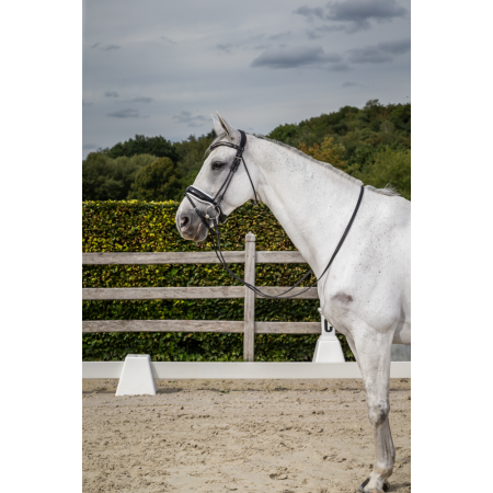 Patent Large Crank Noseband Bridle With White Padding And Flash