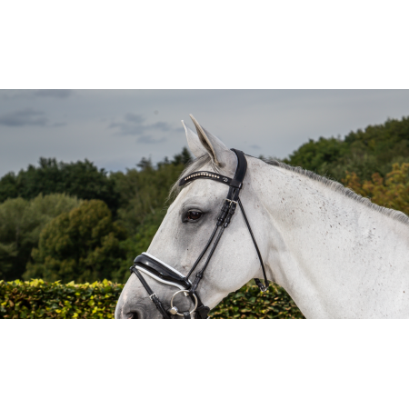 Dy'on Dressage Têtière Bridon