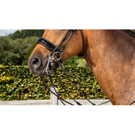 Dy'on Dressage Muserolle Large Vernie