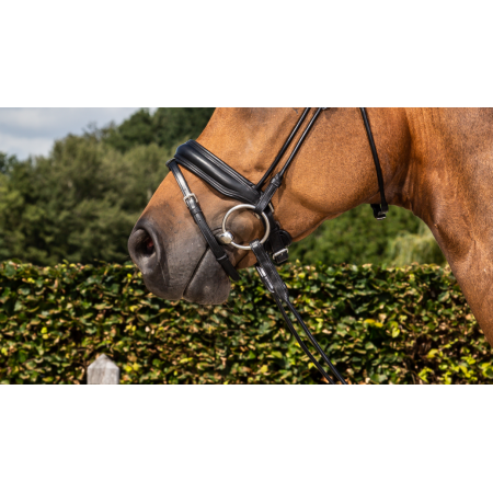 Matte medium Crank neusriem met sperriem
