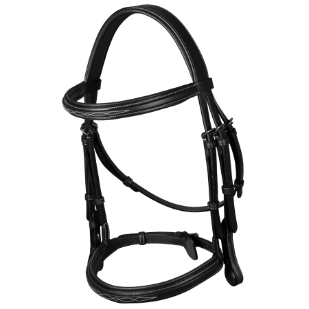 Cavesson Noseband Bridle