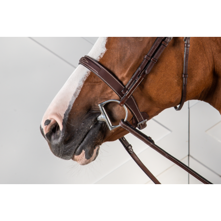 Franse Hunter neusriem