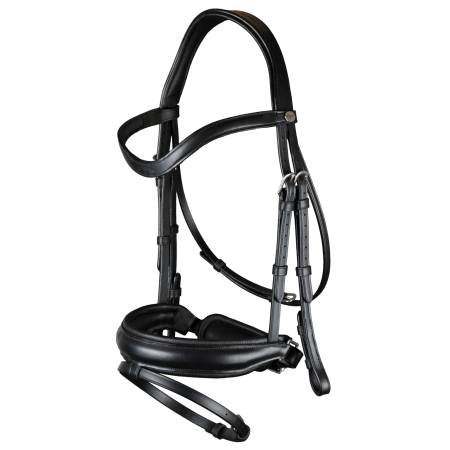 Dy'on Working Matte Large Crank Noseband Bridle With Flash