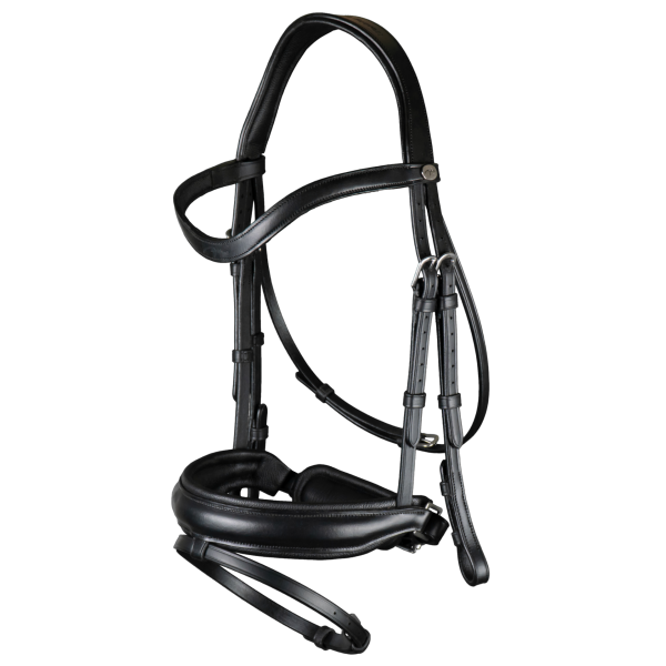 Dy'on Working Matte Large Crank Noseband Bridle With Flash