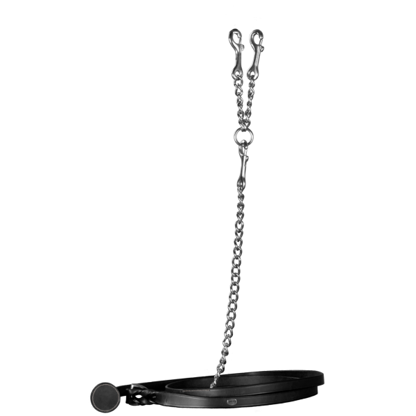 Leather Lead With Chain