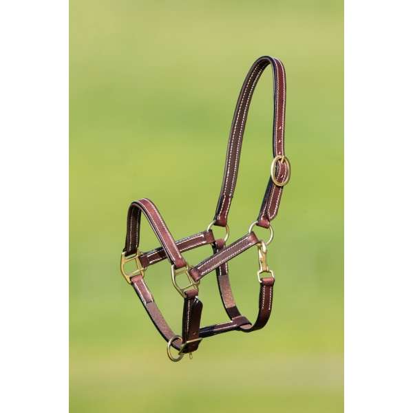 Lined Leather Foal Halter