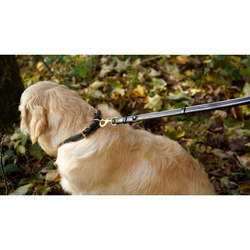 Adjustable Dog Leashes