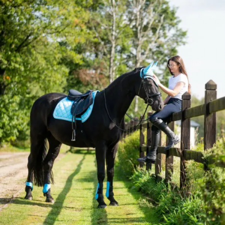 Saddle pad Venus summer AP