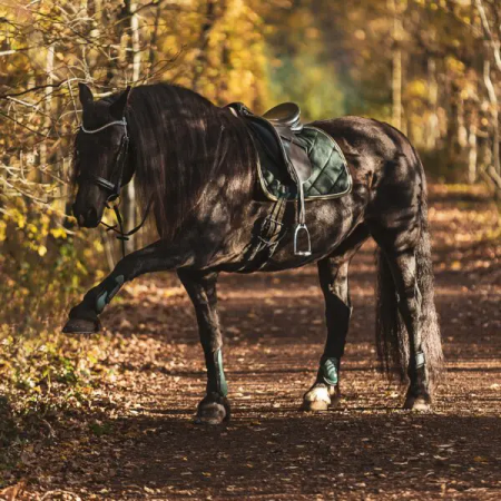 Tapis de selle de dressage Elégance