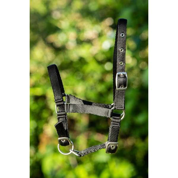 Foal Nylon Halter