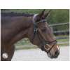 Bridle LEGACY / FILUMA