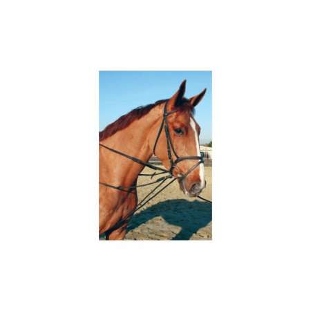 Web draw reins