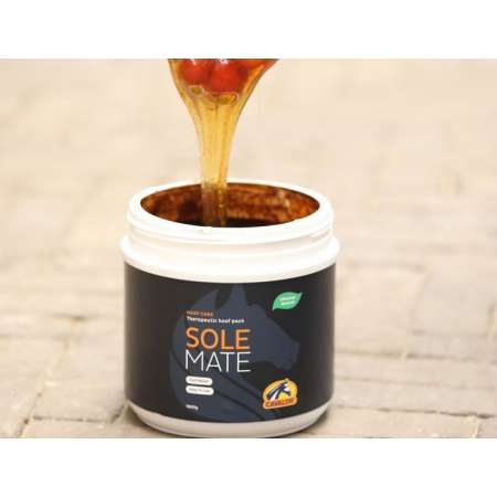 SoleMate - 1.6kg