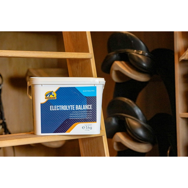 Cavalor Electrolyte Balance