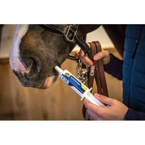 Cavalor Gastro Aid Paste - 60gr