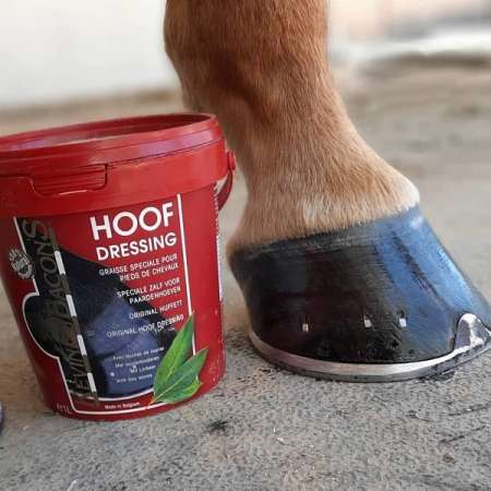 Kevin Bacon's Hoof Dressing Blond