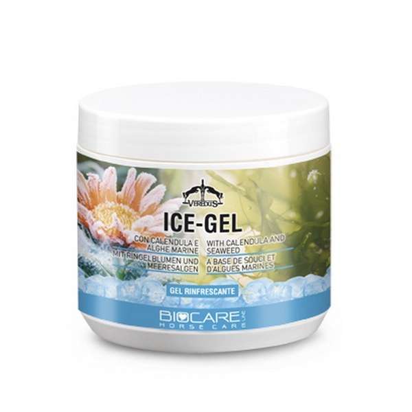 Ice-Gel 500 ml