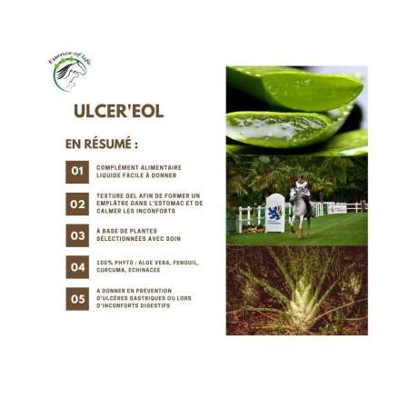 Ulcer'eol