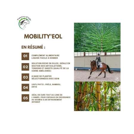 Mobility'eol