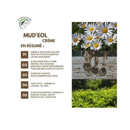 Mud'eol Cream