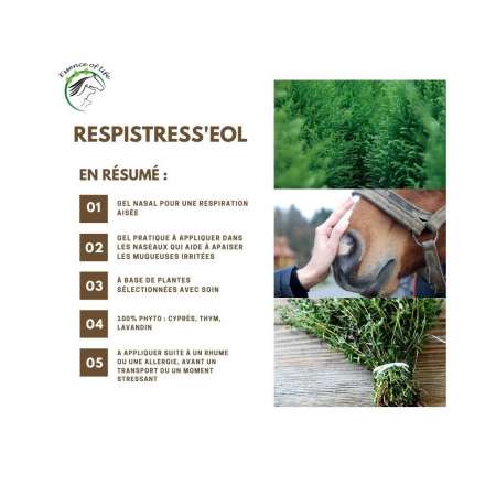 Respistress'eol - Gel Nasal