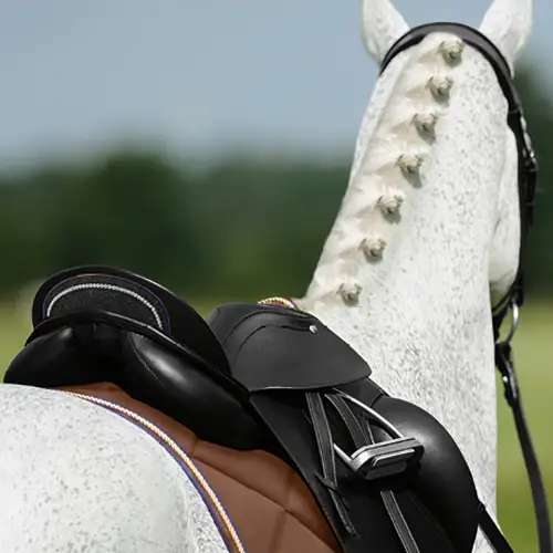Mondkapjes hilfiger online