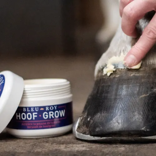 Bleu Roy - Produits d'entretien pour les ongles