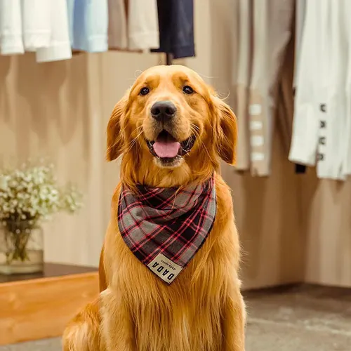 Vêtements Dada Sport