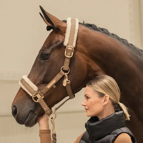 Les protections, bandages et guêtres