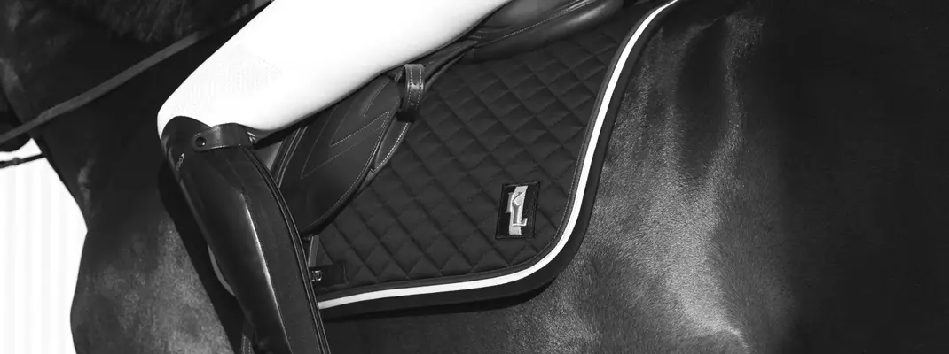 Cheval avec une couverture Kingsland