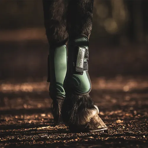 Les protections des membres