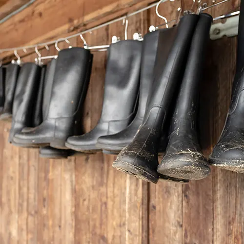 Bottes