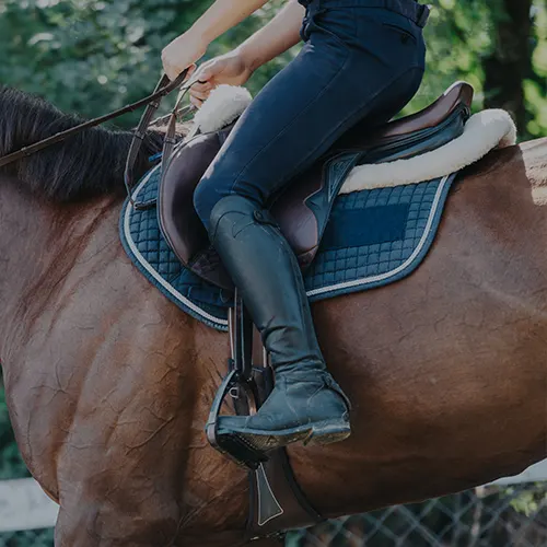 Bottes d'équitation