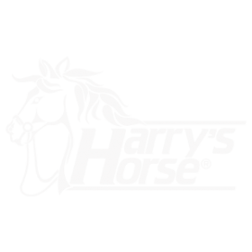 Harry Horse