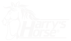 Harry Horse