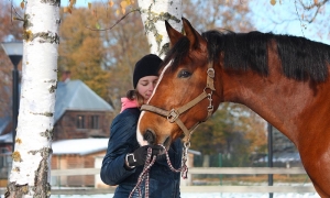 Ce Noël, offrez le meilleur du matériel d’équitation à votre adolescent passionné !
