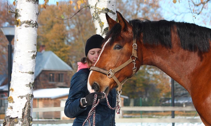 Ce Noël, offrez le meilleur du matériel d’équitation à votre adolescent passionné !